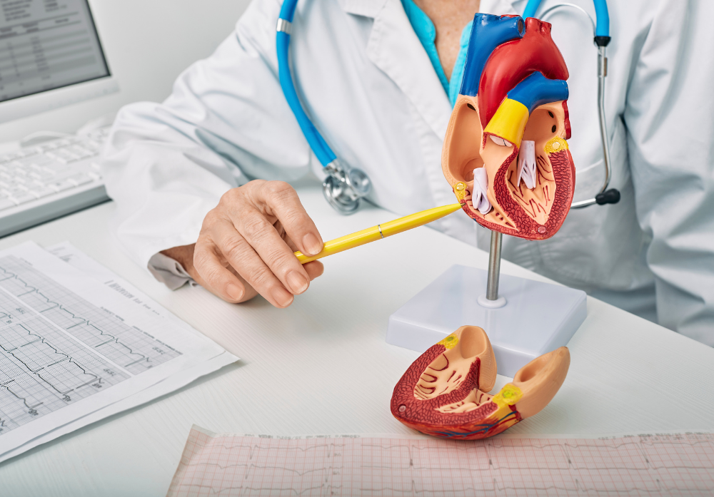 Médico explicando o resulado de um estudo