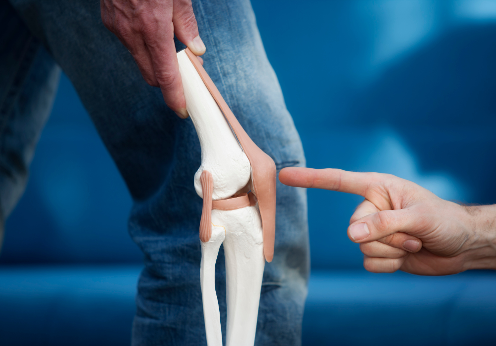 Imagem ilustrando os ligamentos na articulação do joelho